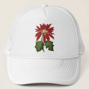 Boné Natal Antigo, Planta de Inverno Poinsettia Vermelh