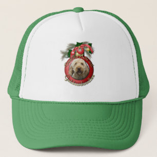 Boné Natal - plataforma os salões - Goldendoodles