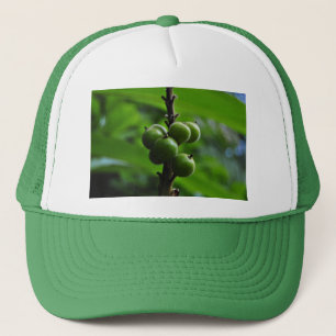 Boné Natureza Verde Nova