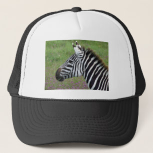 Boné Ngorongoro Zebra Close-Up