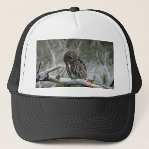 Boné Norte Pygmy Owl