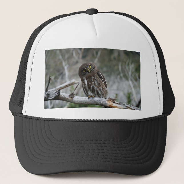 Boné Norte Pygmy Owl (Frente)