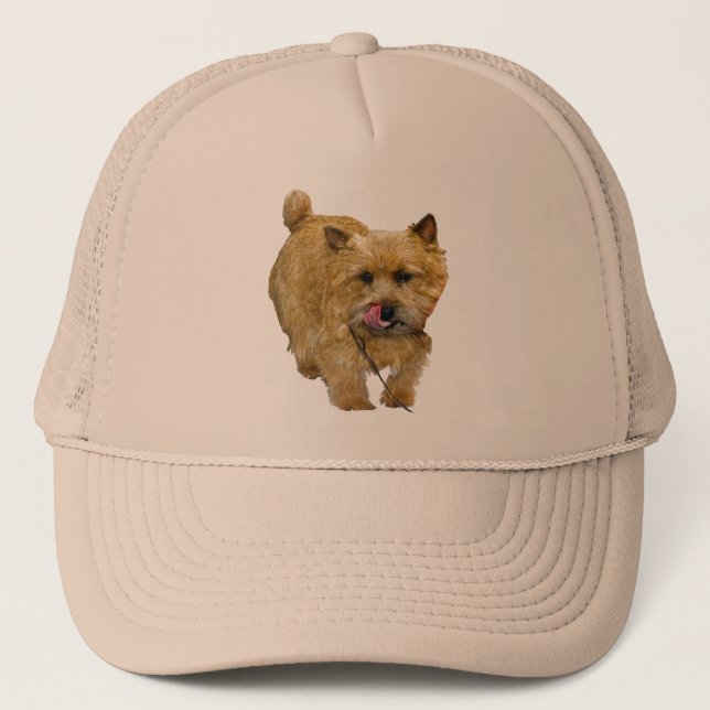 Boné Norwich Terrier (Frente)