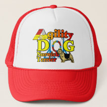 Norwich_Terrier_Agilidade