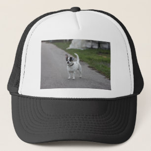 Boné O Cachorro Terrier está bonito!