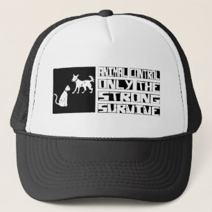 Boné O controle animal sobrevive