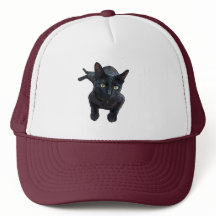 O Fascinante Apelo do Gato Negro