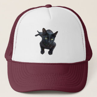 Boné O Fascinante Apelo do Gato Negro