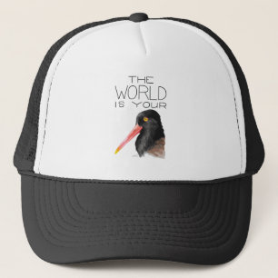 Boné O mundo é o seu Oystercatcher