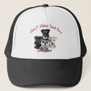 Boné O Schnauzer não pode ter apenas um roupa