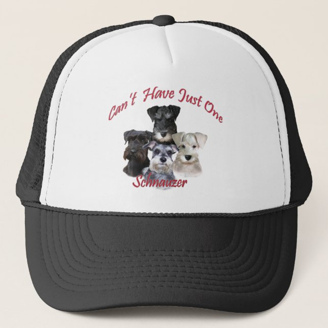 Boné O Schnauzer não pode ter apenas um roupa (Frente)