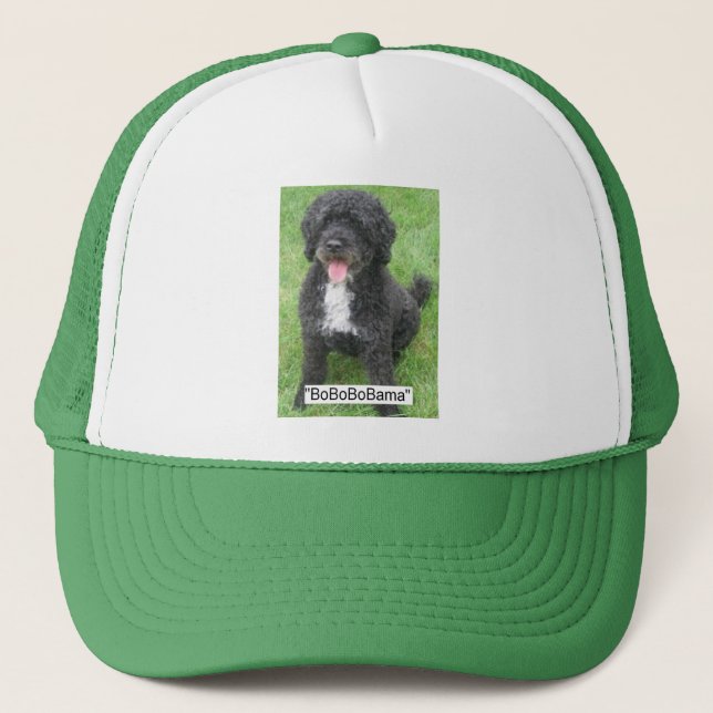 Boné Obama Pet/Cão de Água Português (Frente)