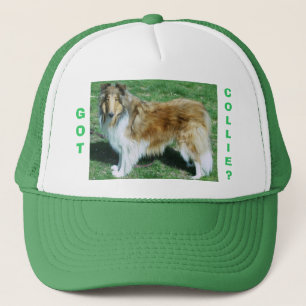 BONÉ OBTIDO, COLLIE?
