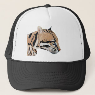 Boné Ocelot