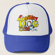 Ofertas de agilidade de galês Springer Spaniel
