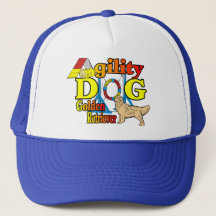 Ofertas de agilidade do ouro Retriever