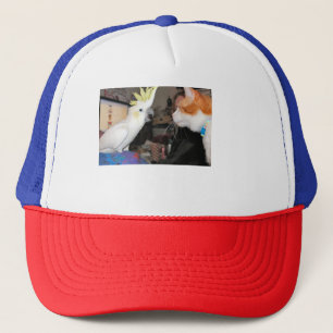 Boné Ok...faça-me parecer grande...não, meu!