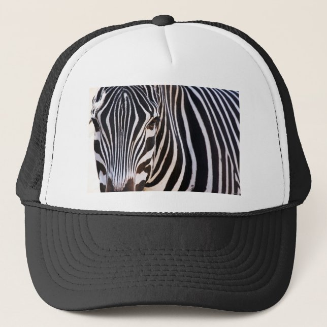 Boné Onde Está A Zebra? (Frente)