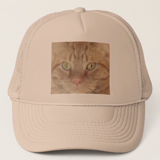 Boné Orange Tabby Cat (Frente)
