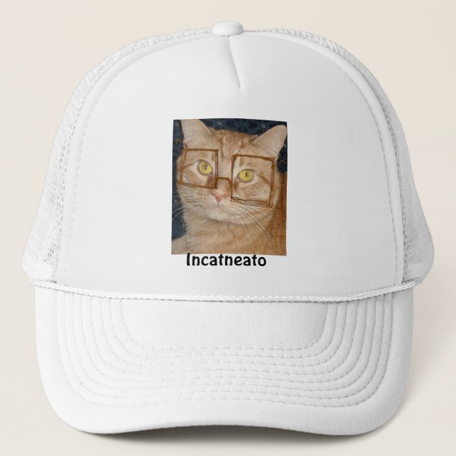 Boné Orange Tabby Cat/Incognito (Frente)