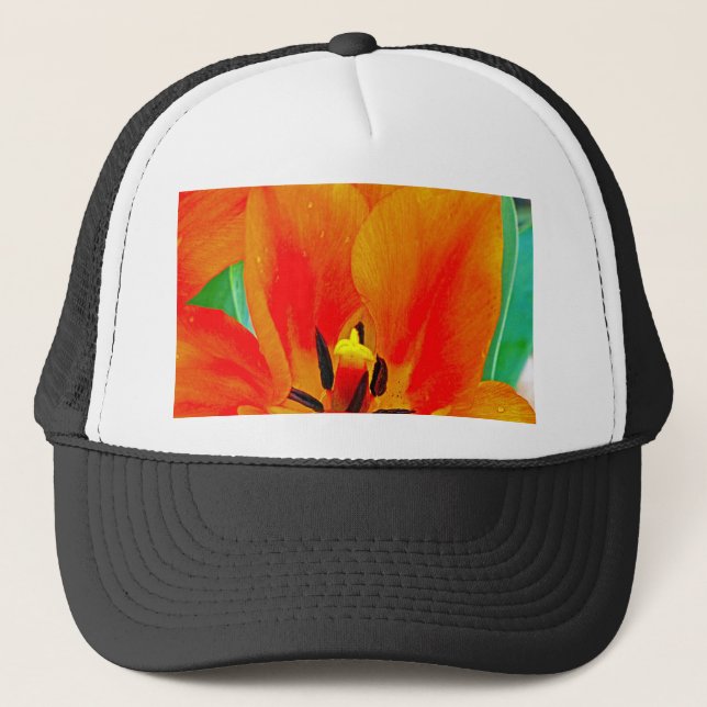 Boné Orange Tulip (Frente)