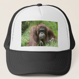 Boné Orangutan