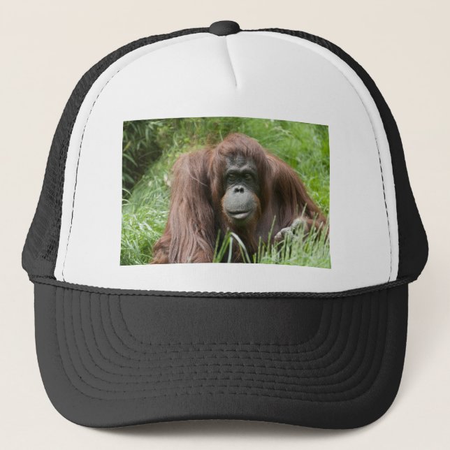 Boné Orangutan (Frente)