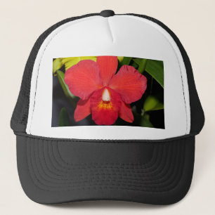 Boné Orquídea Vermelha Exótica