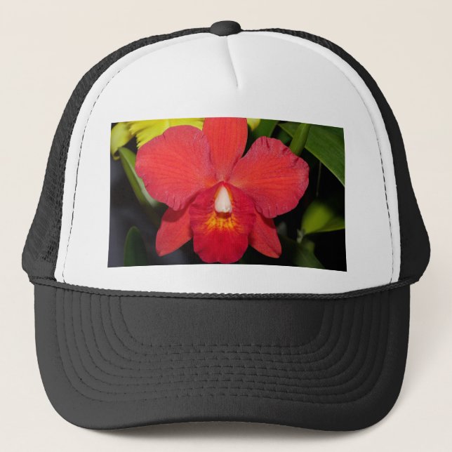 Boné Orquídea Vermelha Exótica (Frente)