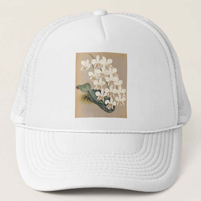Boné Orquídeas (Frente)