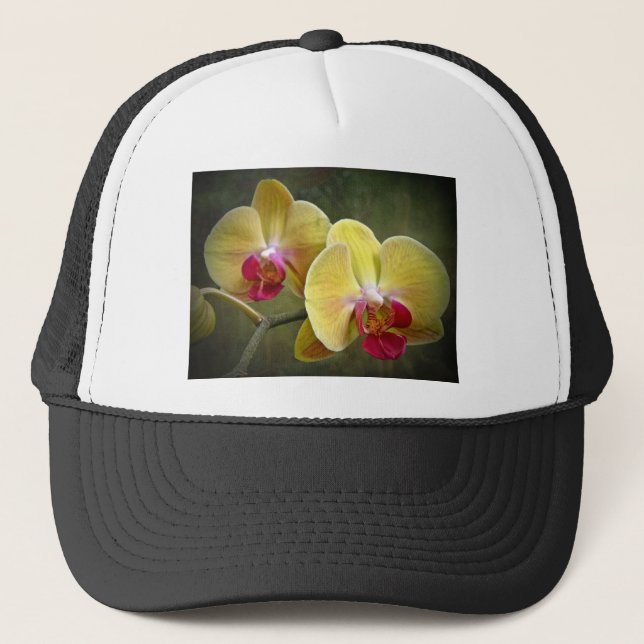 Boné Orquídeas-Mama amarelas - Phalaenopse (Frente)