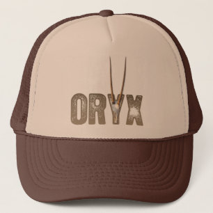 Boné Oryx - animal do crânio do deserto/Namíbia Áfri