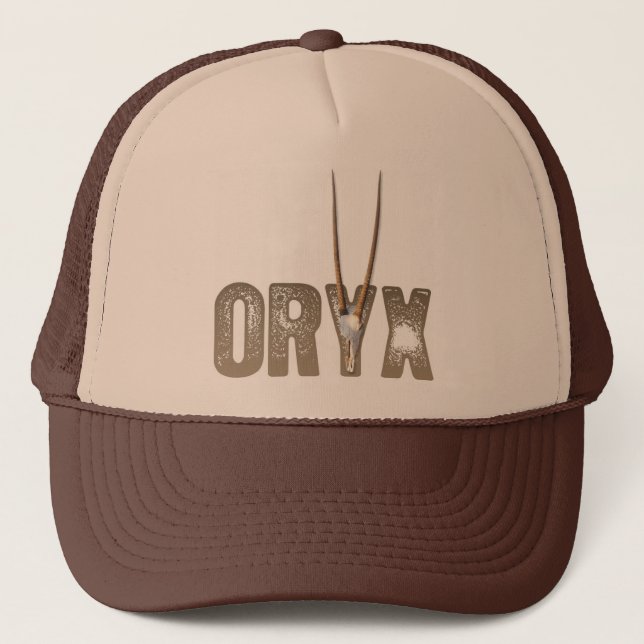 Boné Oryx - animal do crânio do deserto/Namíbia África (Frente)