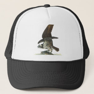 Boné Osprey, John Audubon
