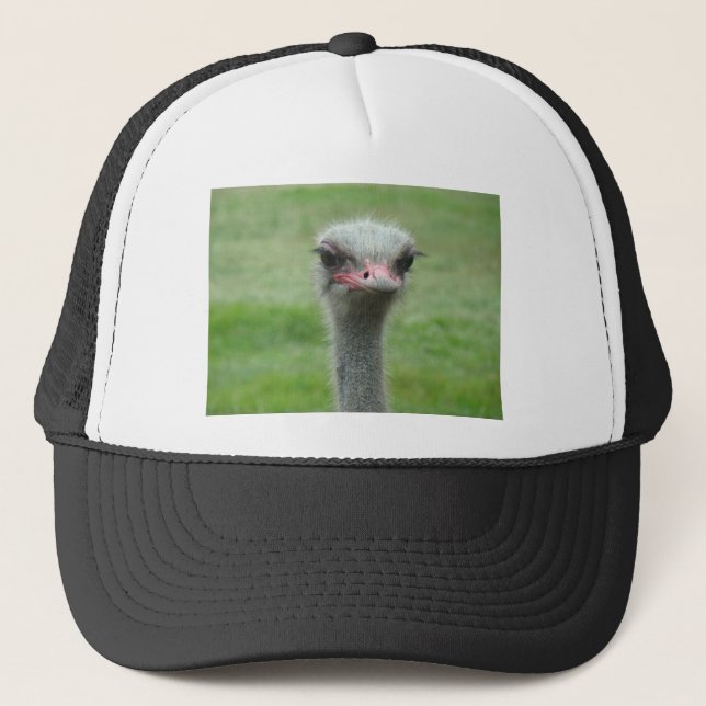 Boné Ostrich (Frente)