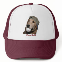 Ouro Retriever Baseball Puppy