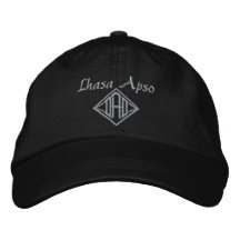 Pai Apso Lhasa