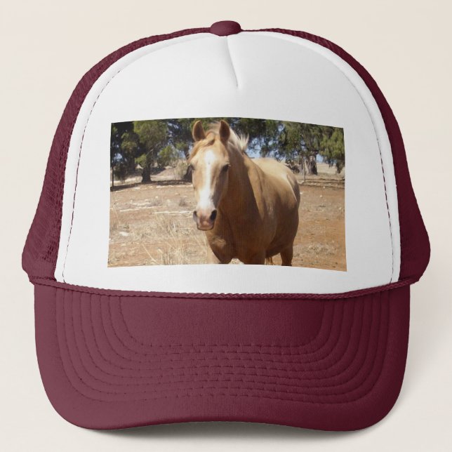 Boné Palomino Horse Saudação (Frente)