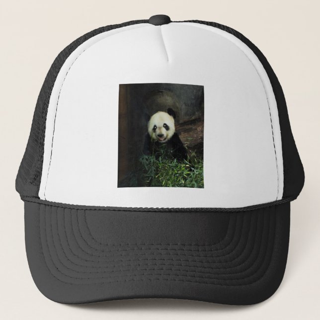 Boné Panda (Frente)