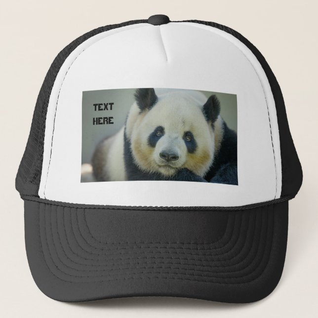 Boné Panda Fofo Olhando Nome do Texto Personalizado Imp (Frente)