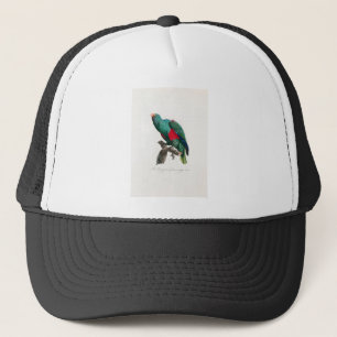 Boné papagaio-de-arara tropical