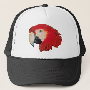 Boné Papagaio do Macaw