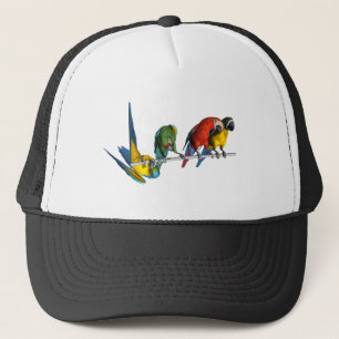 Boné Papagaio do Macaw