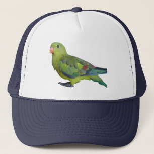 Boné Papagaio verde