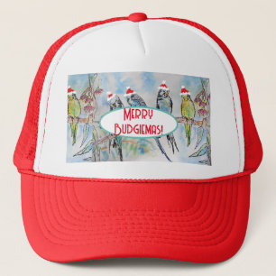 Boné Papais noeis Orçamentando Pássaro de Pintura de Aq