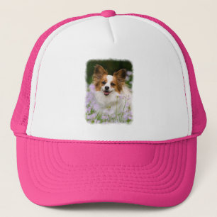 Boné Papillon Dog Cute Romântico Foto Retrato Romântico