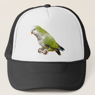 Boné Parakeet da monge