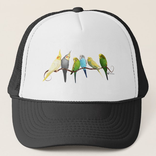 Boné Parakeets & Cockatiels! (Frente)