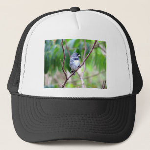 Boné Pássaro Azul