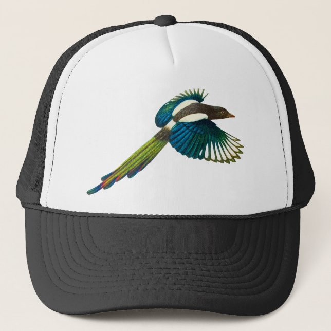 Boné Pássaro colorido do Magpie, ilustração do vintage (Frente)